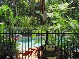 Daintree Rainforest Retreat Motel - Perisher Accommodation 0