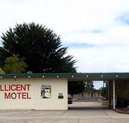 Millicent Motel - Perisher Accommodation