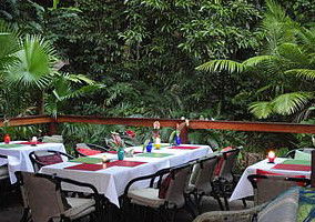 Daintree Rainforest Retreat Motel - Perisher Accommodation 1