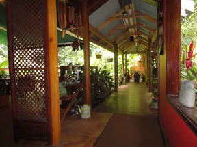 Daintree Rainforest Retreat Motel - Perisher Accommodation 2