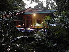 Daintree Rainforest Retreat Motel - Perisher Accommodation 4