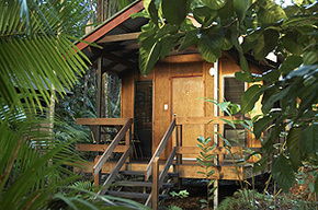 Cape Tribulation QLD Perisher Accommodation