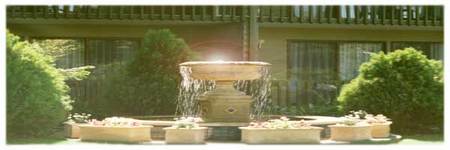 Best Western Tall Trees Motel - Perisher Accommodation 2