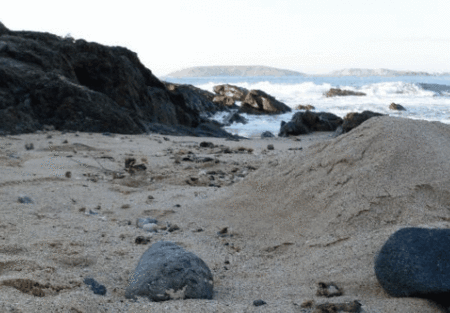 Hawaiian Sands Motor Inn - Perisher Accommodation 4
