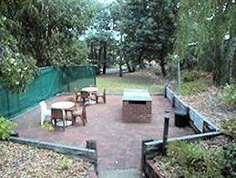 Collie Forest Motel - Perisher Accommodation 4