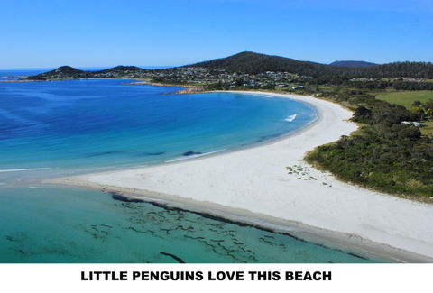 Diamond Island Resort - Perisher Accommodation 5