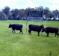 Cluan Homestead - The Managers Residence - Perisher Accommodation