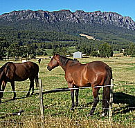 Hurlfield Farm Cottage - Perisher Accommodation