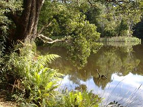Weldborough Camping Ground - Perisher Accommodation 0