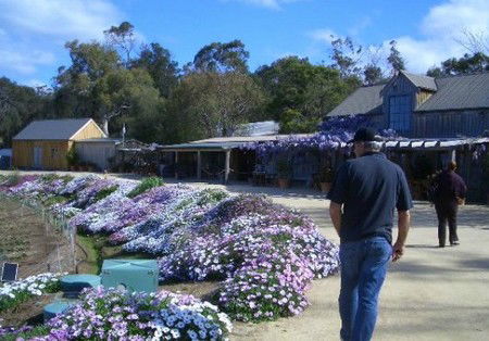 Meredith House And Mews - Perisher Accommodation 2