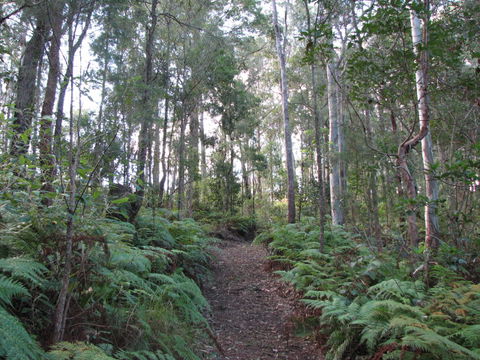 Maleny Country Cottages - Perisher Accommodation 1