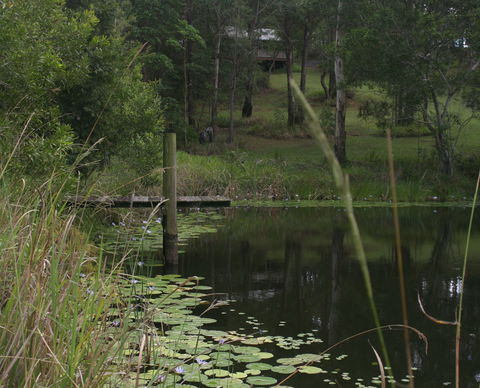 Maleny Country Cottages - Perisher Accommodation 4