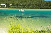 Wooli Camping and Caravan Park - Perisher Accommodation