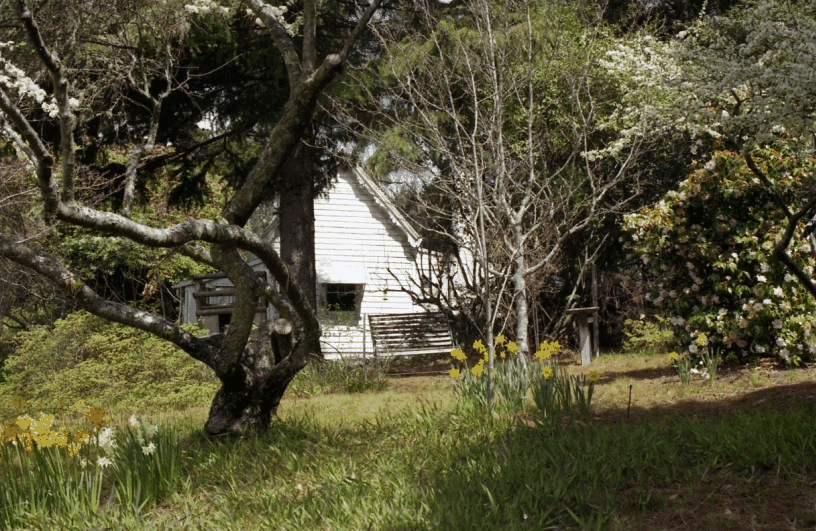 Avoca Cottage - Perisher Accommodation 3