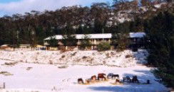 Cooba Holiday Motel - Perisher Accommodation 2