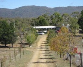 Snowy Vineyard Cottage - Perisher Accommodation 2