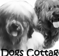2 Dogs Cottages - Perisher Accommodation