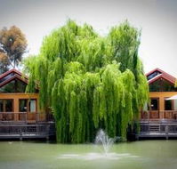 Perricoota Vines Retreat