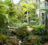 Chamomile Bed and Breakfast - Perisher Accommodation