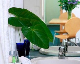 The Point Brisbane - Perisher Accommodation 2