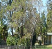 Nimbin Backpackers at Grannys Farm - Perisher Accommodation