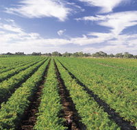 Diplomat Motel amp Restaurant - Perisher Accommodation