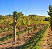 DeVine Escape - Perisher Accommodation