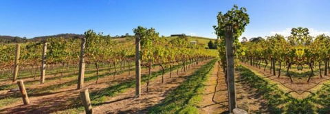 DeVine Escape - Perisher Accommodation 0