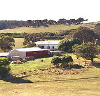 Sun Valley Eco Farm - Perisher Accommodation