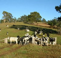 St Columba Cottage - Perisher Accommodation