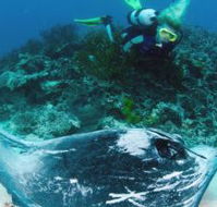 Heron Island Resort - Perisher Accommodation