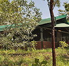 Arnhemland Barramundi Nature Lodge - Perisher Accommodation