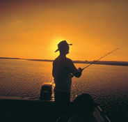 Point Stuart Wilderness Lodge - Perisher Accommodation