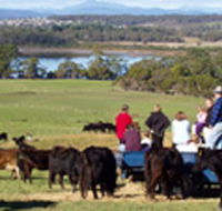 Bonny Brae - Perisher Accommodation