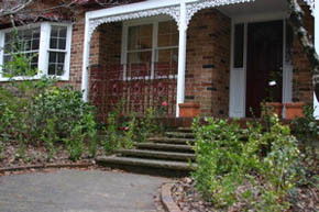 Leura Camellias - Perisher Accommodation 0