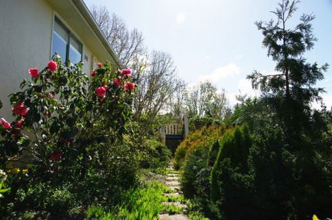 Yooringa - Perisher Accommodation 6