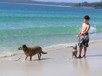 Paradise Bungalow - Perisher Accommodation 19