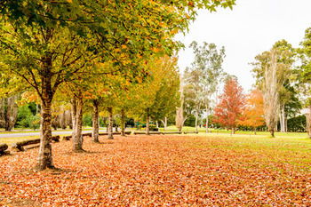 Retreat At Wisemans - Perisher Accommodation 12