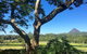 Blackwattle Farm B&B And Farm Stay - thumb 9