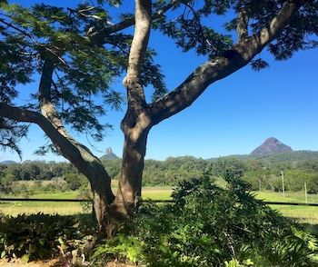 Blackwattle Farm B&B And Farm Stay - Perisher Accommodation 9