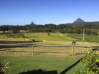 Blackwattle Farm B&B And Farm Stay - Perisher Accommodation 29