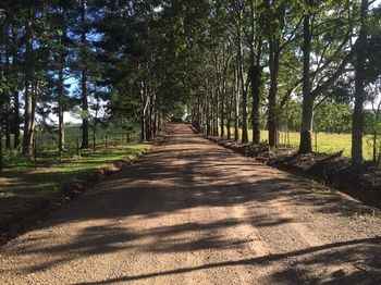 Blackwattle Farm B&B And Farm Stay - Perisher Accommodation 46