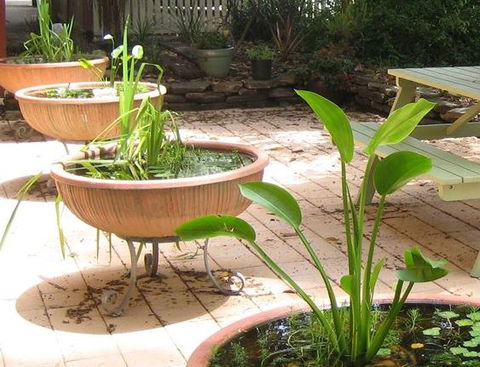 Sinclairs Of Burwood Bed And Breakfast - Perisher Accommodation 4