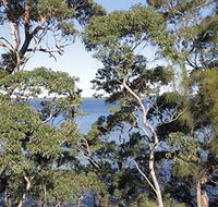 The Edgewater Bed amp Breakfast - Perisher Accommodation