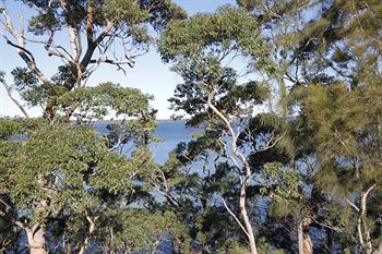 The Edgewater Bed & Breakfast - Perisher Accommodation 0
