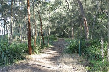 The Edgewater Bed & Breakfast - Perisher Accommodation 22