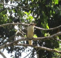 Sunshine Valley Cottages - Perisher Accommodation