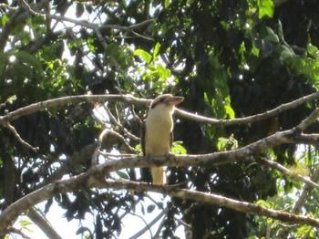 Sunshine Valley Cottages - Perisher Accommodation 0