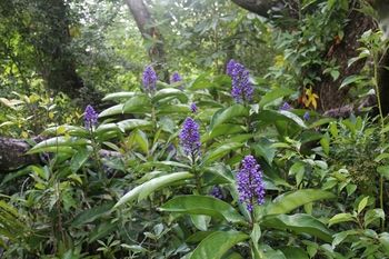 Sunshine Valley Cottages - Perisher Accommodation 7