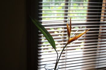 Sunshine Valley Cottages - Perisher Accommodation 14